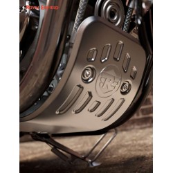 Unterfahrschutz silber